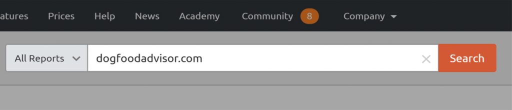 Semrush arama bölümü
