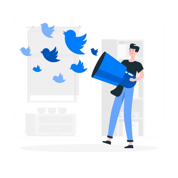 Twitter Reklam Türleri Nelerdir?