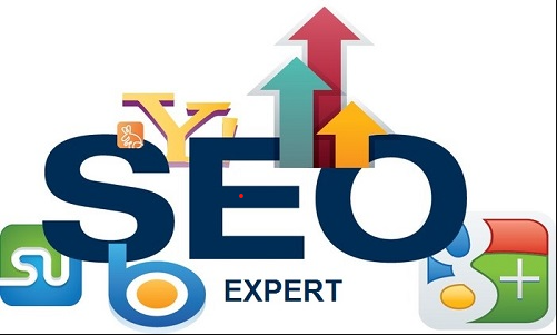 What Is A Seo Expert?