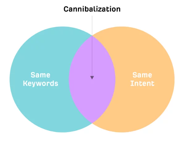 How To Avoid Cannibalization Issues?