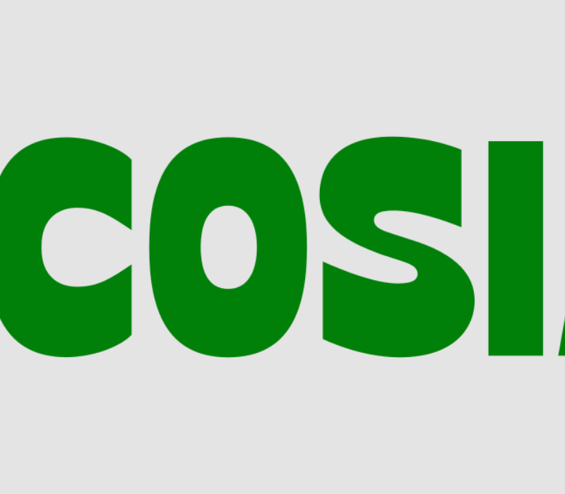 Ecosia Arama Motoru