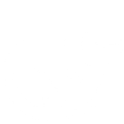 Generative Engine Optimization